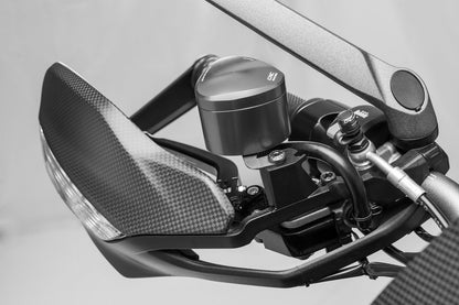 Bovenste handkap mat carbon Ducati Multistrada 1260S Pikes Peak (2016-2017)