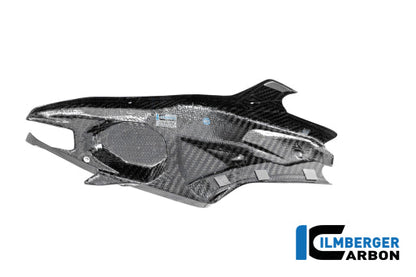 Achterbrugcover (links) glanzend carbon Ducati Panigale V4R Racing (2025+)