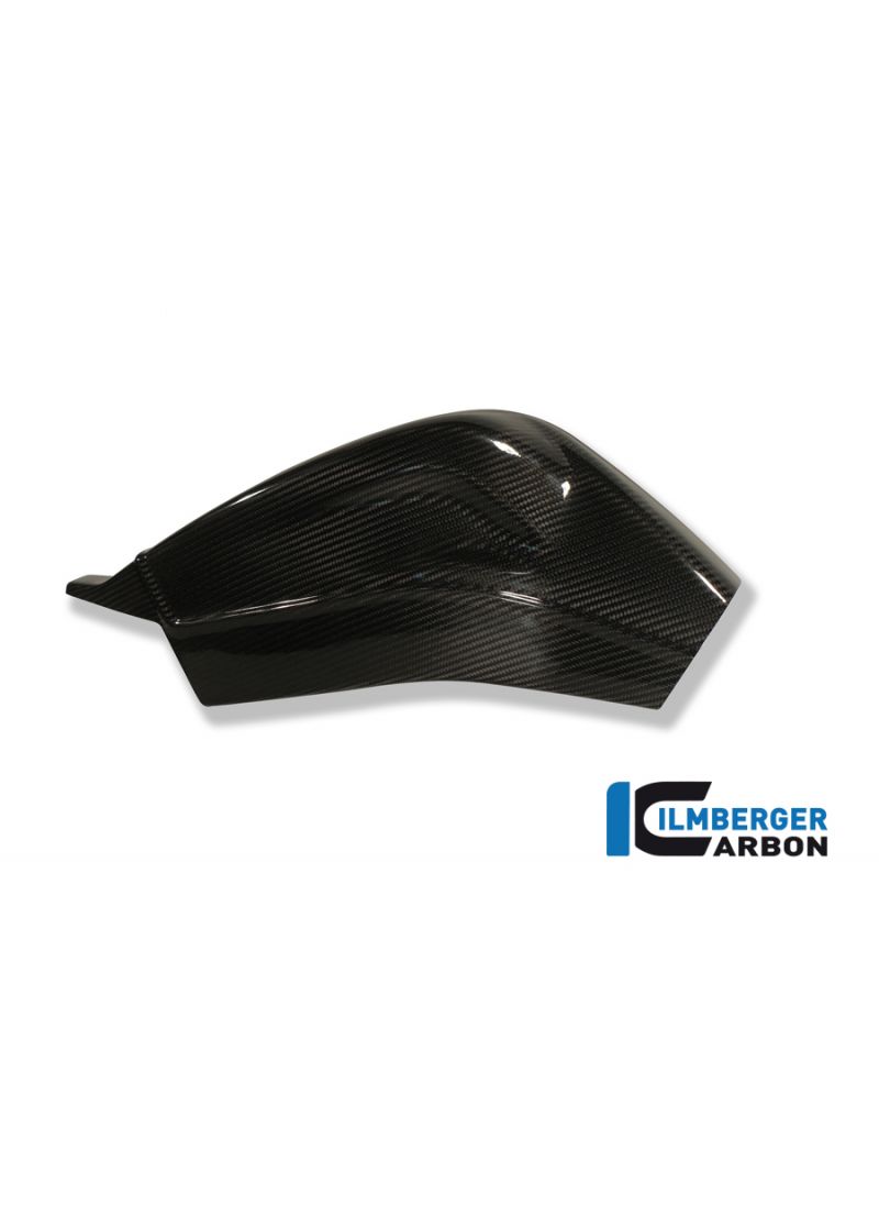 Carbon rear swing arm covers (set) BMW S1000RR Street (2009-2011)