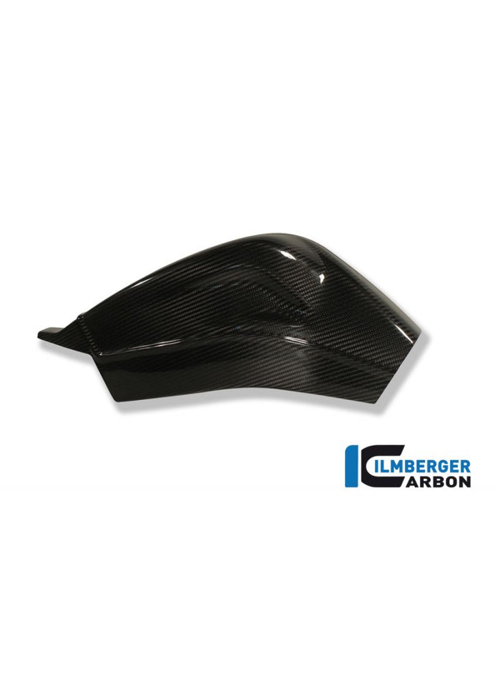 Carbon Rear Swing Arm Covers (Set) BMW S1000RR (2010-2011)