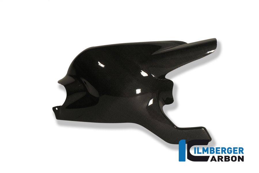 Rear swingarm cover carbon Monster 1100EVO Ducati Monster 1100 EVO (2011-2015)