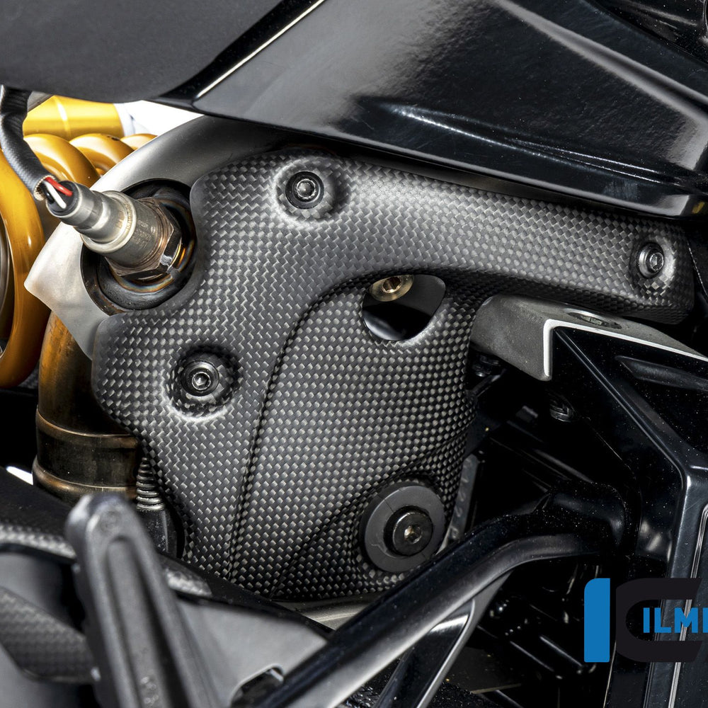 Exhaustprotection on the manifold matt Diavel 1260 2019+