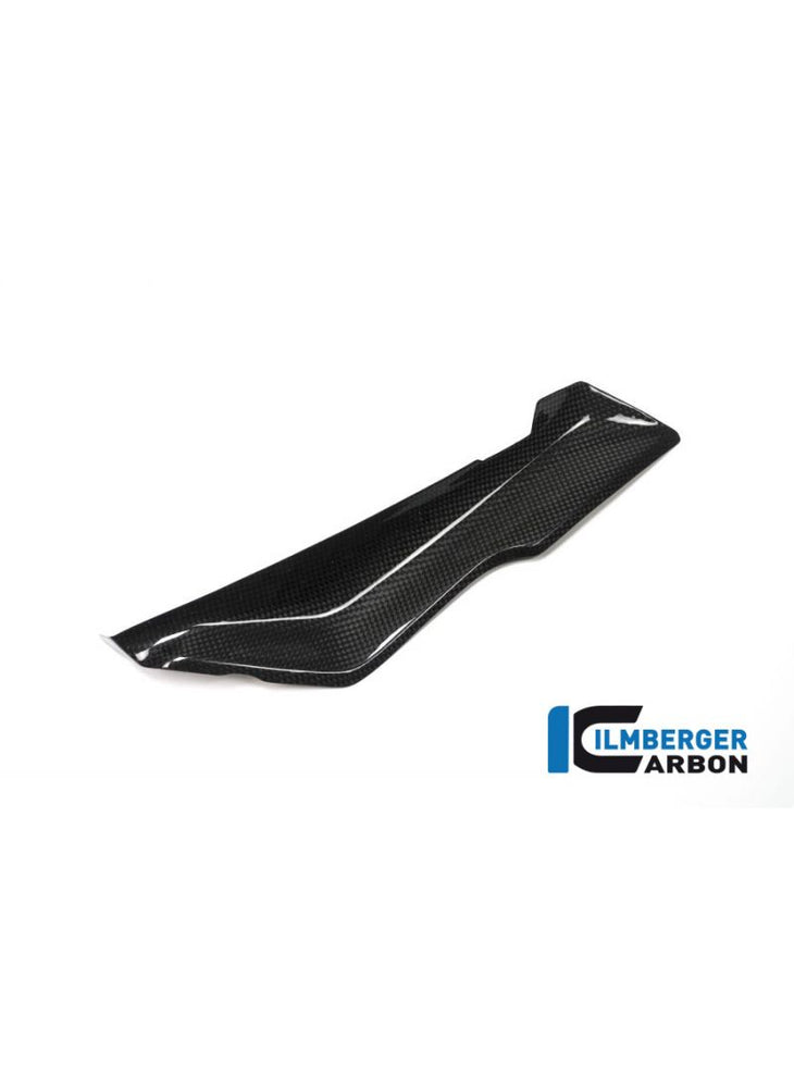 Air deflector inner panel carbon links BMW R1200RS LC 2015-