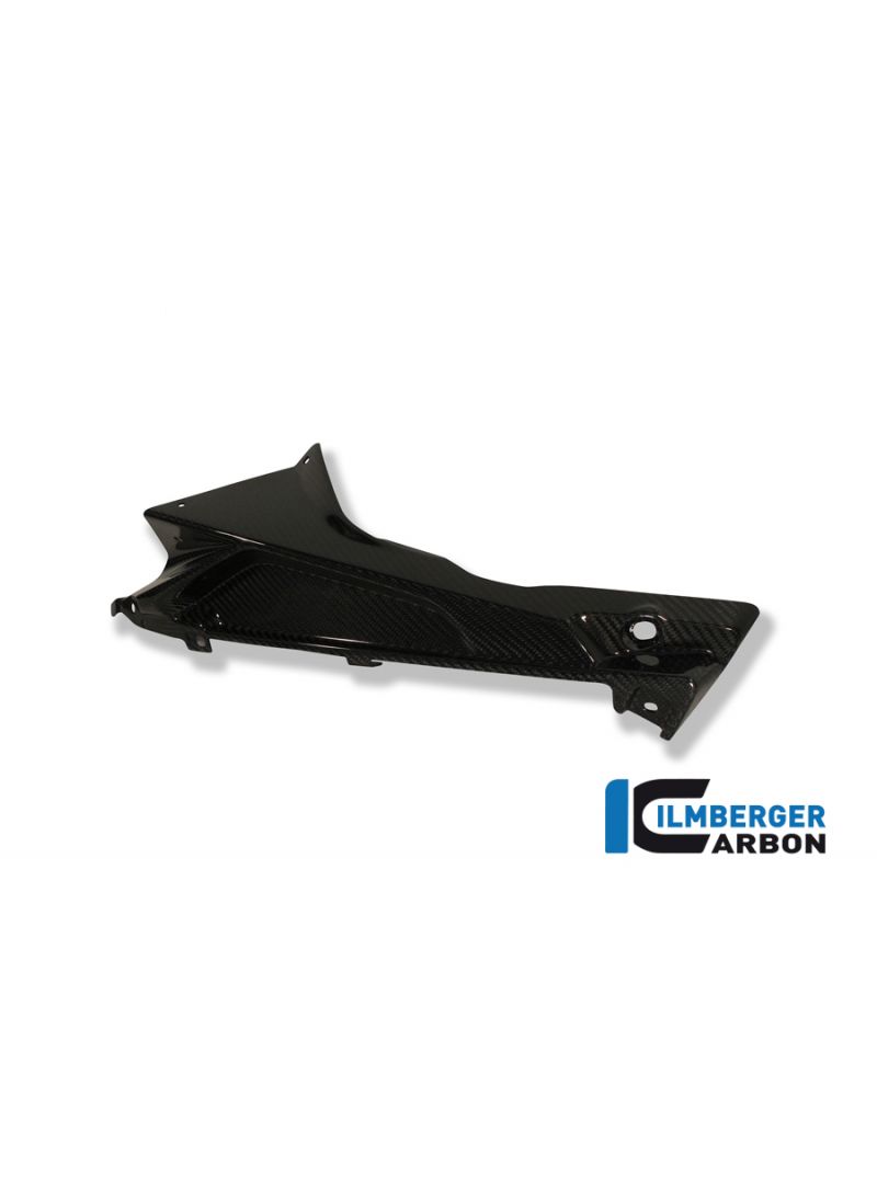 Carbon Inner Cowl Left Side BMW S1000RR Street (2009-2011)