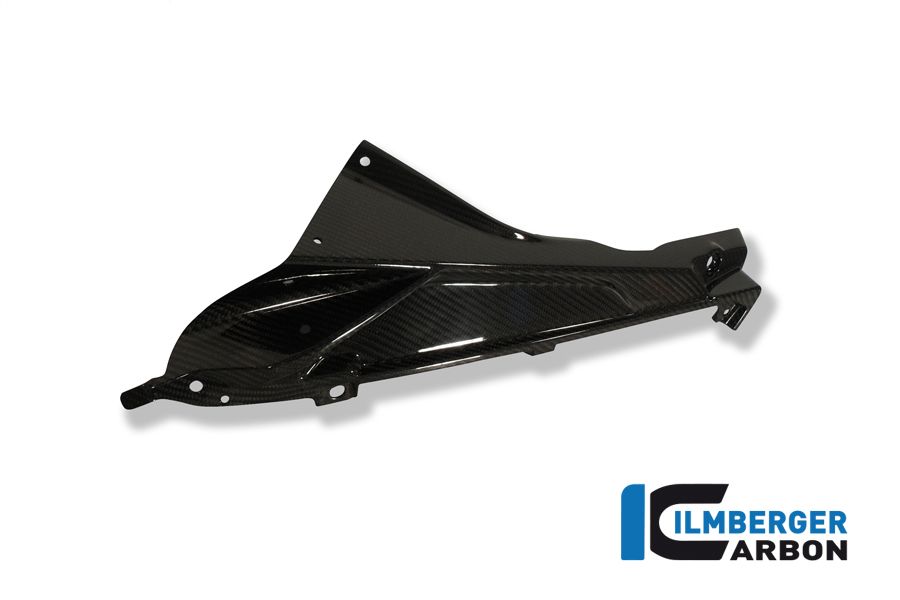 Binnenkuip Links BMW S1000RR (2012-2014)