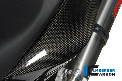 Zijpaneel onder zadel links carbon BMW F 800 R (2009-2011)