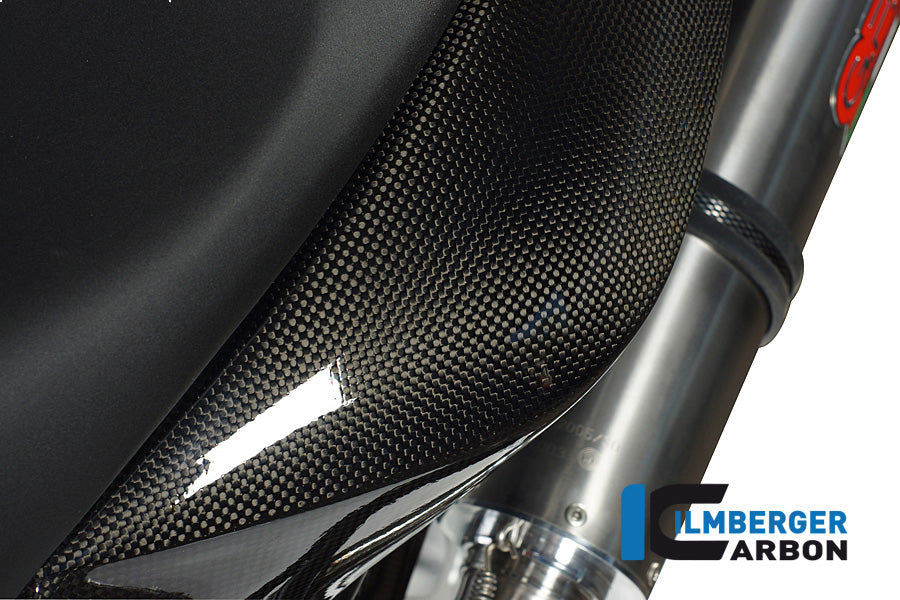 Carbon Zijpaneel onder zadel links BMW F 800 R (2015-2019)