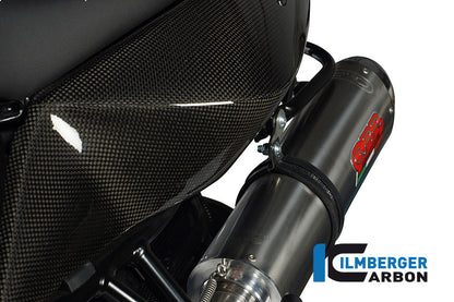 Zijpaneel onder zadel links carbon BMW F 800 R (2009-2011)