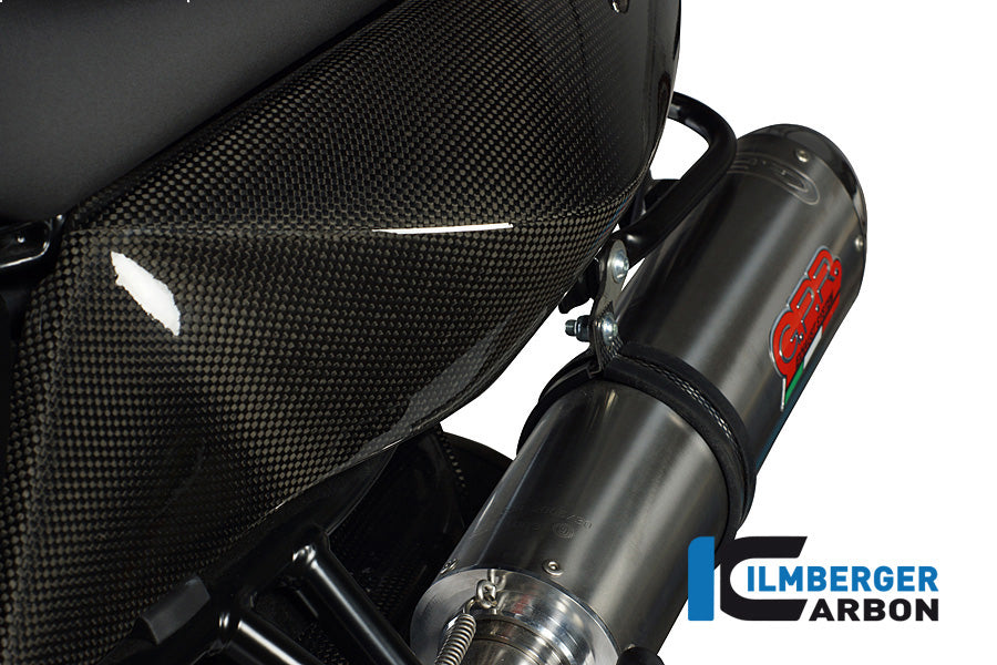 Carbon Zijpaneel onder zadel links BMW F 800 R (2015-2019)