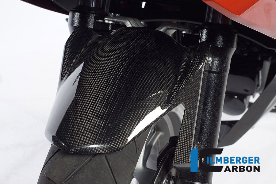 Voorspatbord carbon BMW F 800 R (2009-2011)
