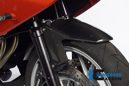 Voorspatbord carbon BMW F 800 R (2009-2011)