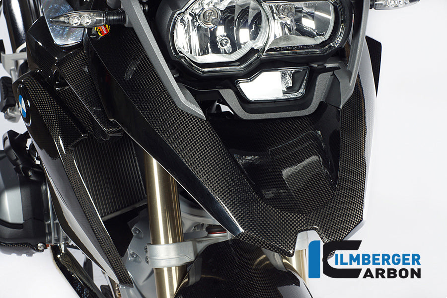 Voorspatbord 'beak' carbon BMW R 1200 GS LC (2013-2016)