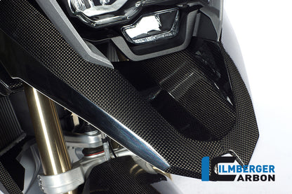 Voorspatbord 'beak' carbon BMW R 1200 GS LC (2013-2016)