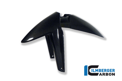 Voorspatbord carbon BMW R 1200 GS LC (2013-2016)