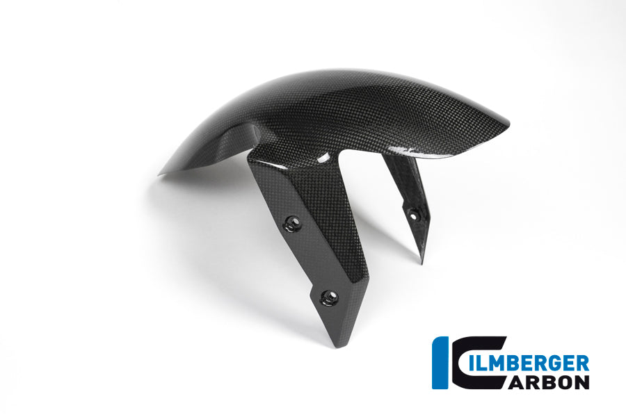 Voorspatbord carbon BMW F 800 R (2015-2019)