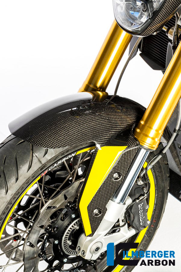 Voorspatbord carbon BMW F 800 R (2015-2019)