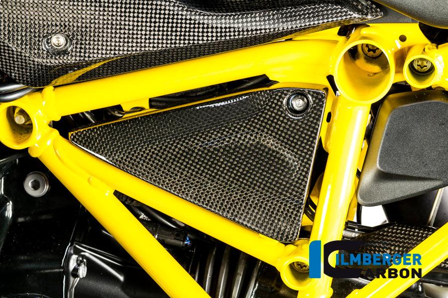 Zijpaneel frame links carbon BMW R 1200 GS LC (2017-2018)