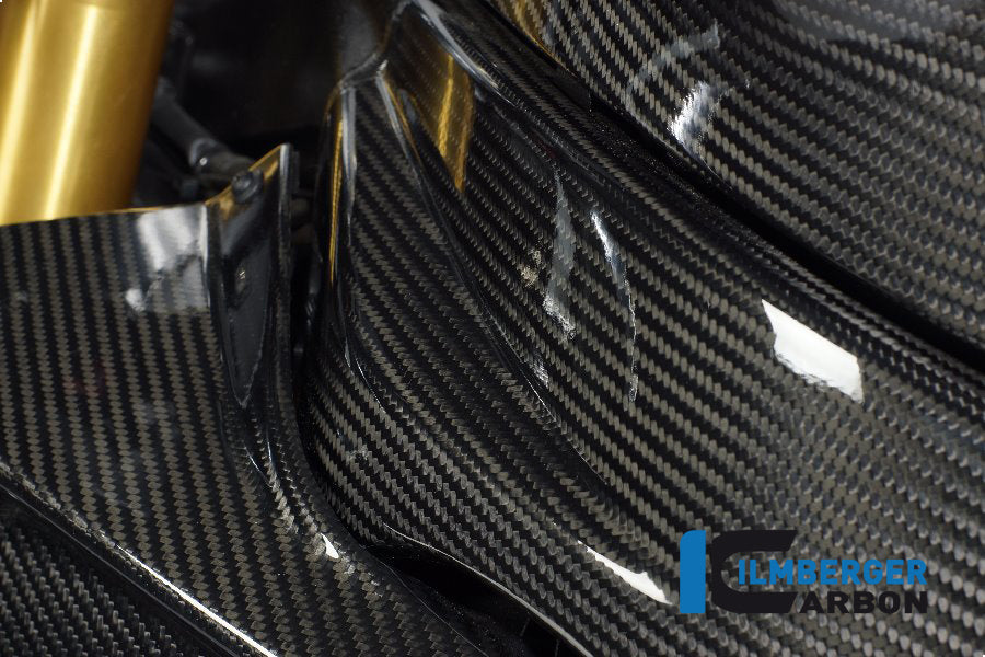 Carbon framecover links BMW HP4 1000RR (2013-2014)