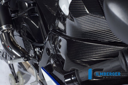 Framecover rechts BMW S1000RR (Street) (2012-2014)
