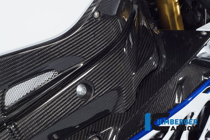 Carbon tankpaneel rechts BMW HP4 1000RR (2013-2014)