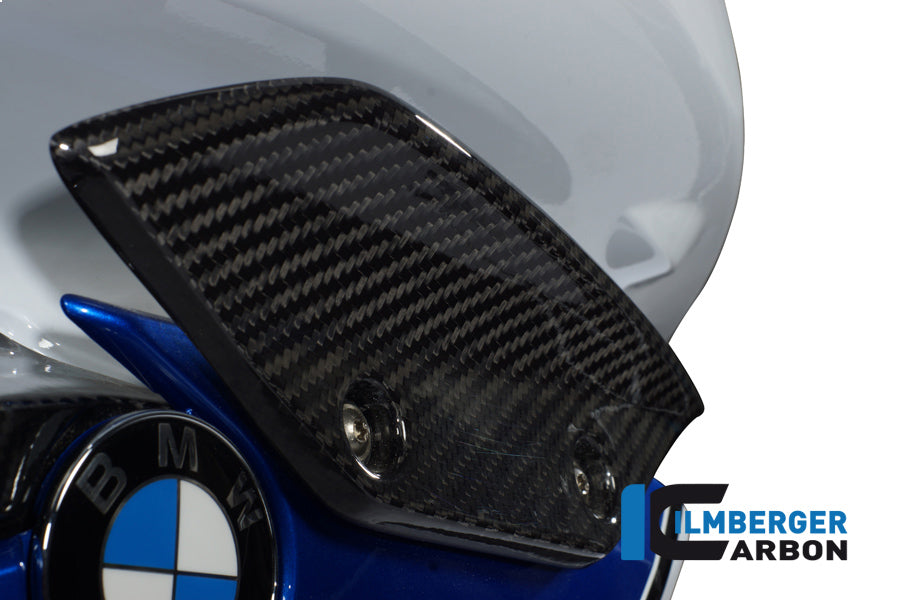 Zijkuip Winglet paneel rechts BMW S1000RR (Street) (2012-2014)