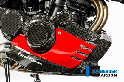 Bellypan BMW F 800 R (2015-2019)