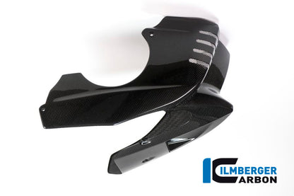 Bellypan BMW F 800 R (2015-2019)