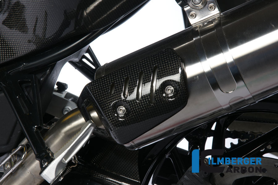 Uitlaathitteschildbochten carbon BMW F 800 R (2015-2019)