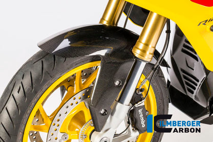 Voorspatbord carbon BMW F 800 R (2015-2019)