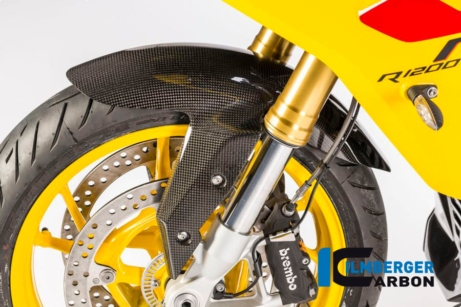 Voorspatbord carbon BMW F 800 R (2015-2019)