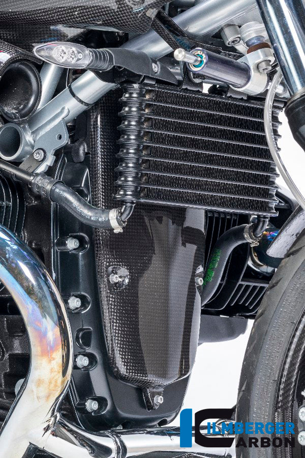 Dynamodeksel beschermer cover carbon BMW R 1200 S (2006-2008)
