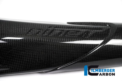 Air Channel Cover with Logo rechts carbon BMW R9T RnineT (2017-2020)