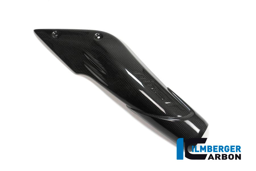 Air Channel Cover with Logo rechts carbon BMW R9T RnineT (2017-2020)