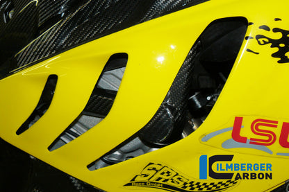 Frame valbescherming rechts BMW S1000RR (Street) (2012-2014)