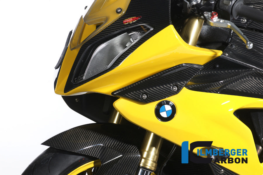 Zijkuip Winglet paneel links BMW S1000RR (2012-2014)