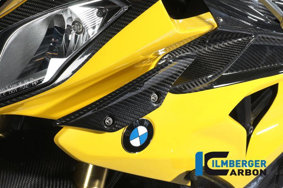 Zijkuip Winglet paneel links BMW S1000RR (2012-2014)