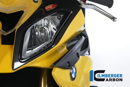 Zijkuip Winglet paneel links BMW S1000RR (2012-2014)