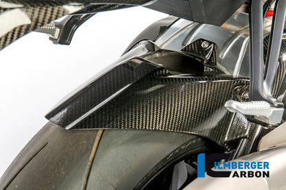 Achterspatbord (hugger) incl. Upper Ketting beschermer with ABS carbon BMW S1000RR (2015-2016)