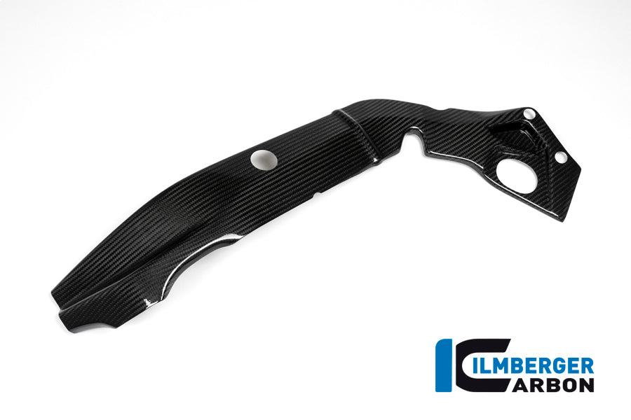 Frame cover links carbon BMW S1000RR (2015-2016)