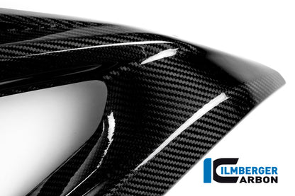 Zijkuip middenpaneel Racing links carbon BMW S1000RR Racing (2015-2016)
