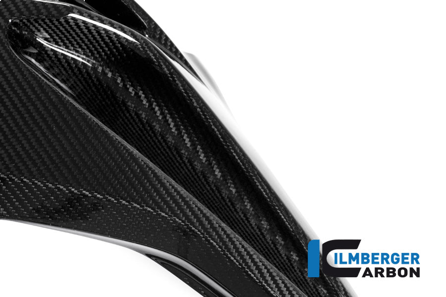 Zijkuip middenpaneel Racing links carbon BMW S1000RR Racing (2015-2016)