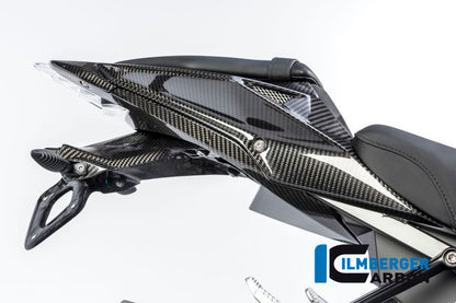 Kentekenplaathouder carbon BMW S1000RR (Street) (2015-2016)
