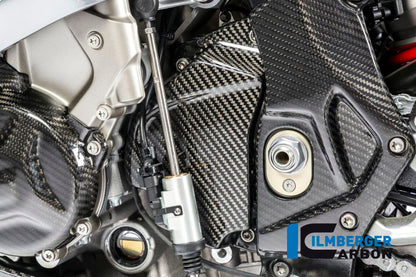 Frame cover links carbon BMW S1000RR (Street) (2015-2016)