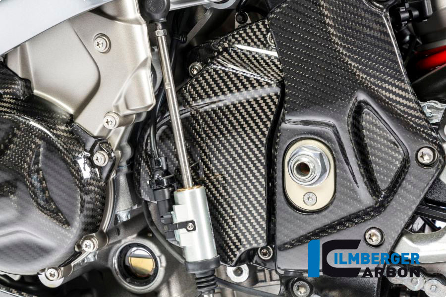 Frame cover links carbon BMW S1000RR (Street) (2017-2018)
