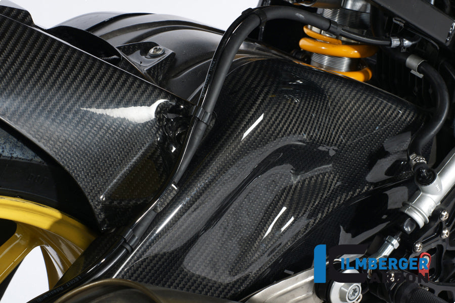 Achterbrug beschermer set carbon BMW S1000RR Racing (2009-2011)
