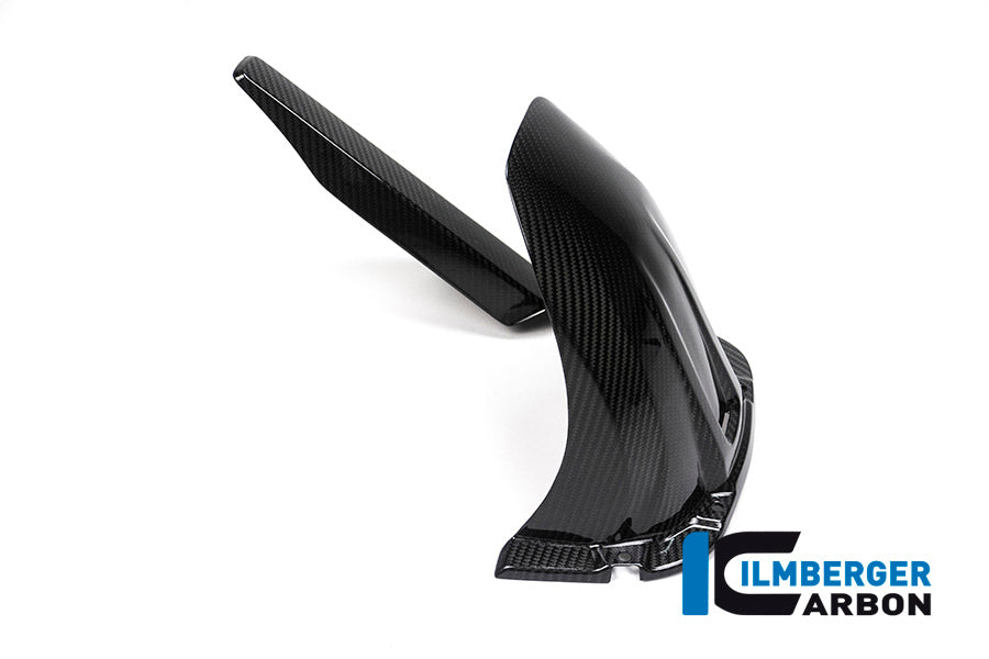 Achterspatbord (hugger) carbon BMW S1000XR (2015-2019)