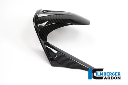 Achterspatbord (hugger) carbon BMW S1000XR Sport (2018-2019)