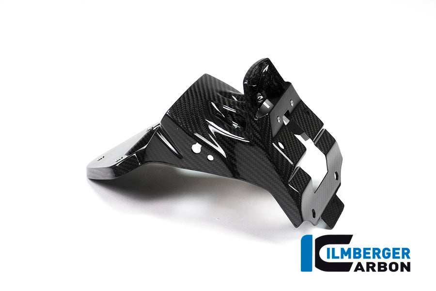 Korte kentekenplaathouder carbon BMW S1000XR Sport (2018-2019)