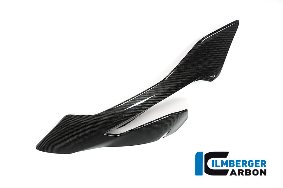 Zijkuip links carbon BMW S1000XR Sport SE (2018-2019)