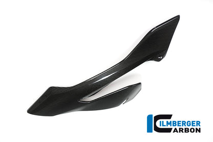 Zijkuip links carbon BMW S1000XR Sport SE (2018-2019)